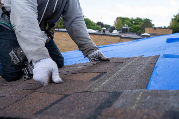 Best Residential Roofing Contractor  in Ravenna, MI