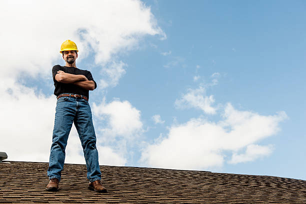 Best Roof Gutter Cleaning  in Ravenna, MI